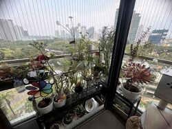 Casa Fortuna (D12), Apartment #629275501